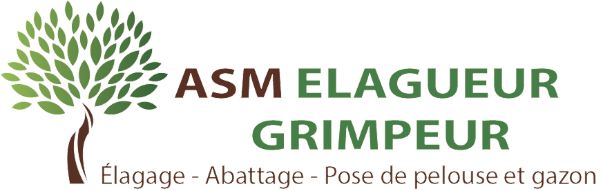 Entretien d'arbres et d'espaces verts à Brest (29200) - Asm Elagueur Grimpeur dans le Finistère (29) 