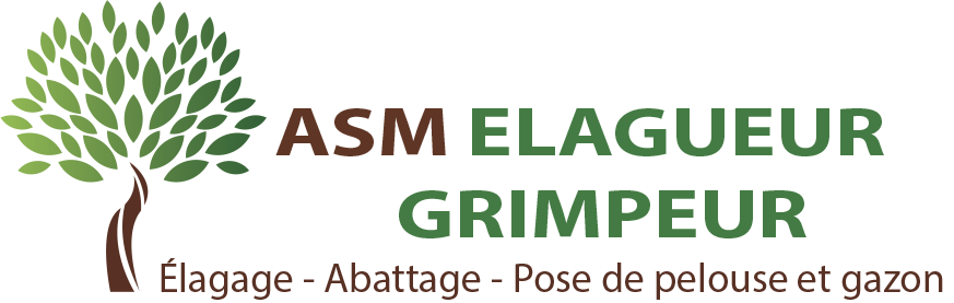 Entretien d'arbres et d'espaces verts à Brest (29200) - Asm Elagueur Grimpeur dans le Finistère (29) 