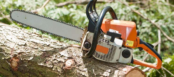 Contactez Asm Elagueur Grimpeur pour l'élagage de vos arbres à Brest (29200) dans le Finistère (29)